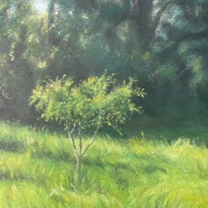 Oil Paintings - Rainbowsmock